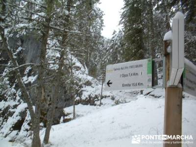 Senderismo Cañón del Río Lobos; Programa de actividades; Trekking